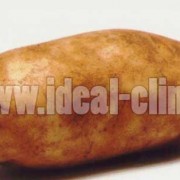 POTATO