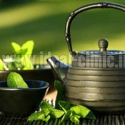 گیاهان دارویی