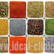 ادویه جات و لاغری