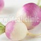 turnip