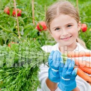 غذاهای ارگانیک