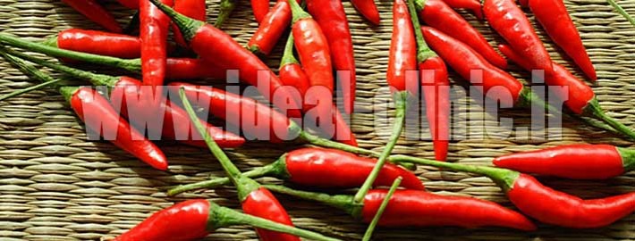 غذاهای تند
