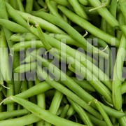 لوبیا سبز