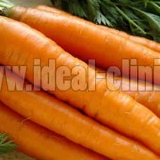 افراد چاق برای لاغر شدن روزی چند هویج بخورند