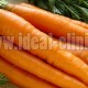 افراد چاق برای لاغر شدن روزی چند هویج بخورند