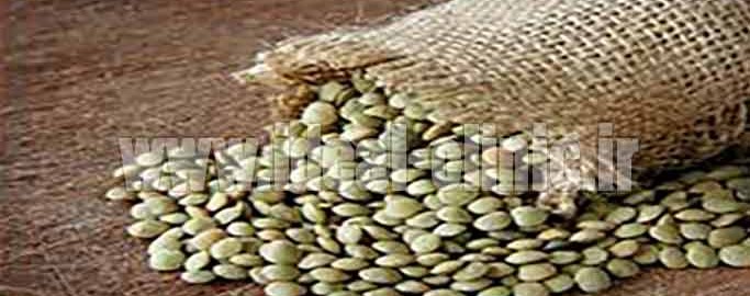 5غذای تقویت کننده مو