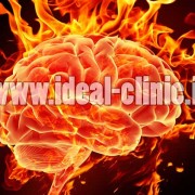 مغز پُرخورها و معتادان شبيه به هم کار مي‌ کند