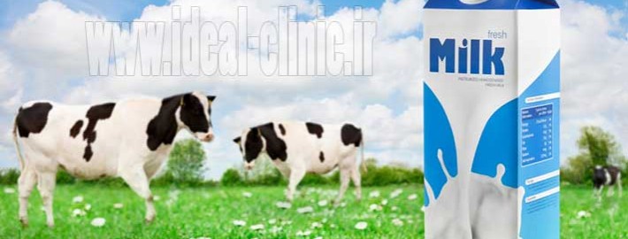 cows-milk