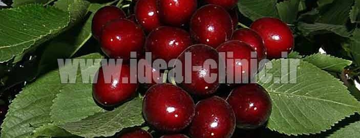اجزای سمی میوه ها