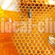 honey