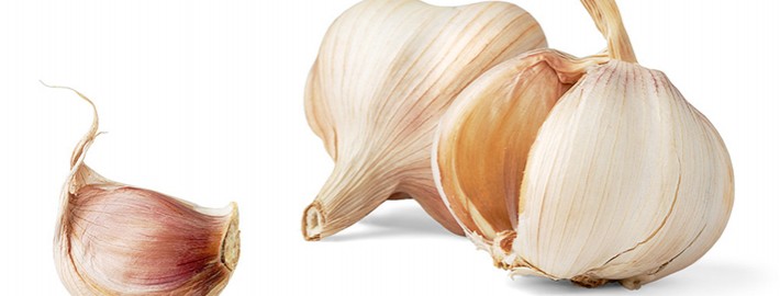 سیر