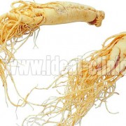 جنسینگ و استرس