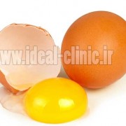 زرده تخم مرغ