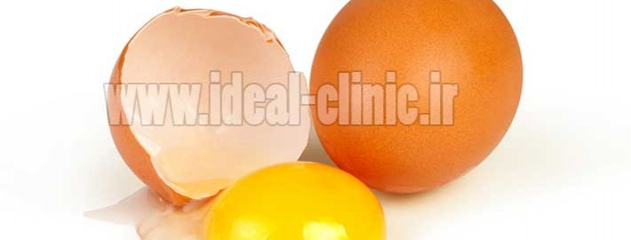 زرده تخم مرغ